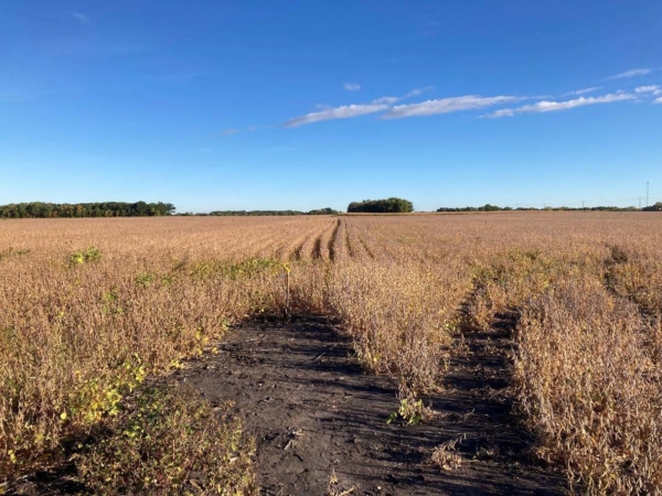 Wetland Delineation & Species Habitat Evaluation in Southern Minnesota